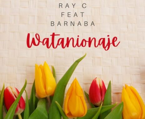 Ray C - Watanionaje Ft. Barnaba