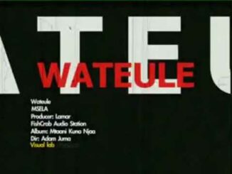 Wateule - Msela