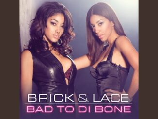 Brick & Lace - Bad To Di Bone