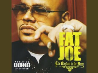 Fat Joe - I Won't Tell Ft. J Holiday