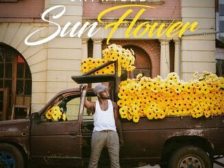 Jaywillz - Sun Flower EP