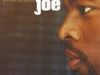 Joe - If I Was Your Man