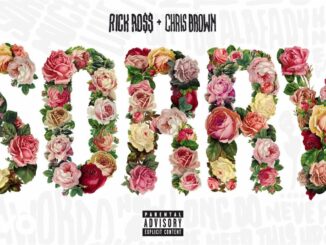 Rick Ross - Sorry Ft. Chris Brown