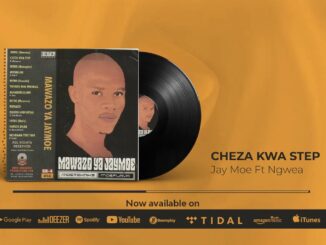 Jay Moe - Cheza Kwa Step Ft. Ngwair