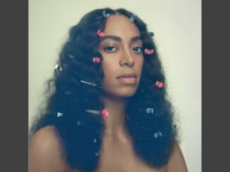 Solange Knowles - Cranes In the Sky