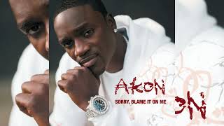 Akon - Sorry, Blame It On Me