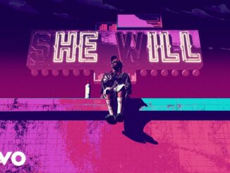 Lil Wayne - She Will Ft. Drake, Rick Ross