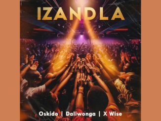 Oskido – Izandla Ft. Daliwonga & X-Wise