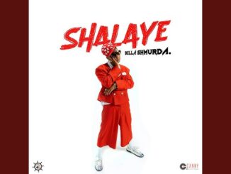 Bella Shmurda – Shalaye