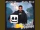 Marshmello - Project Dreams Ft. Roddy Ricch